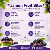 Swarneo Jamun Fruit Bites - Combo Sale - Swarneo